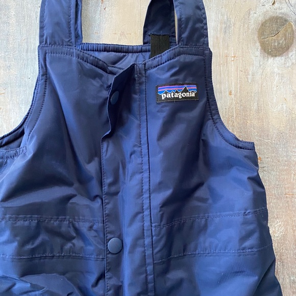Patagonia Other - Patagonia Bib Snowpants 2T